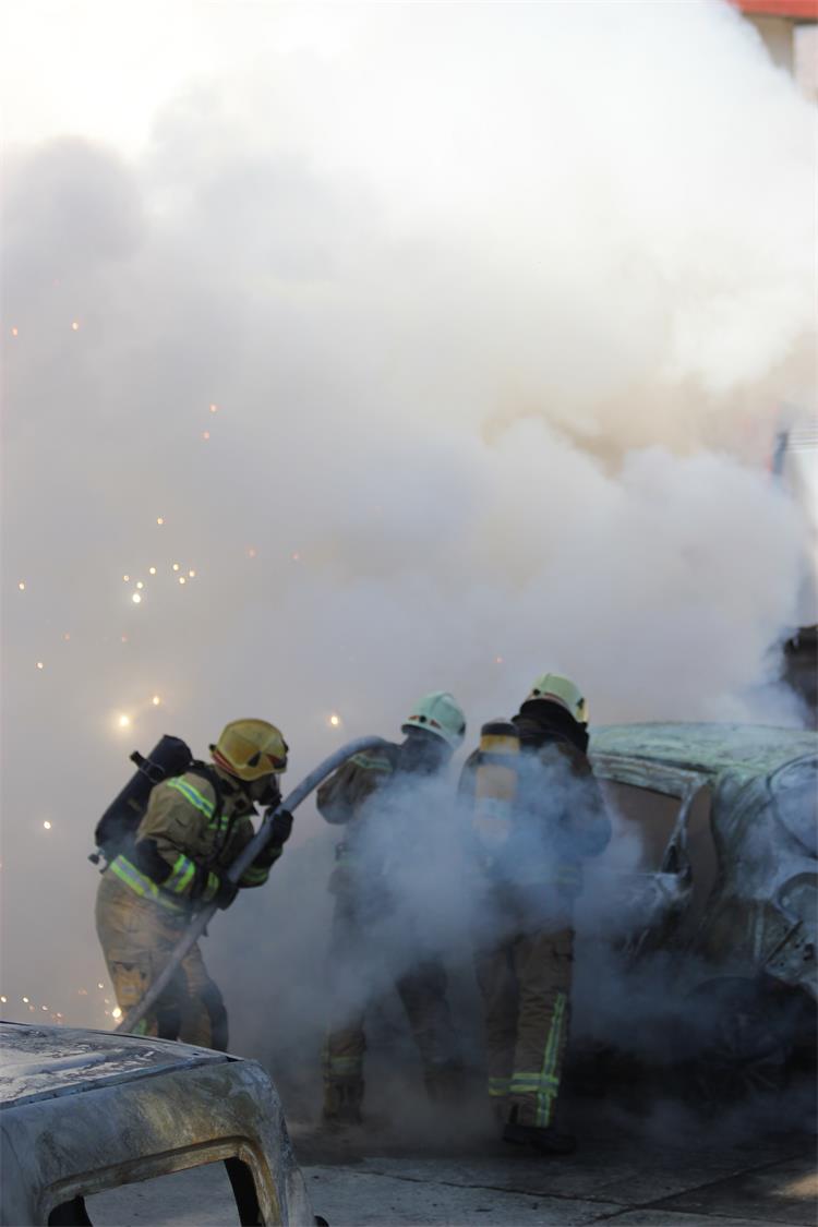 Slika /slike/hibridi (11).JPG